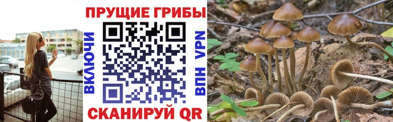 Галлюциногенные грибы мицелий  гидра ссылка  Урень  купить наркотик 